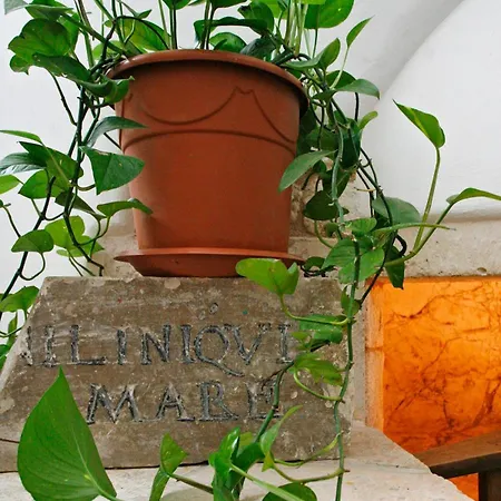 Отель La Terra 4*