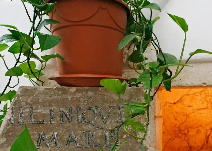 מלון La Terra 4*